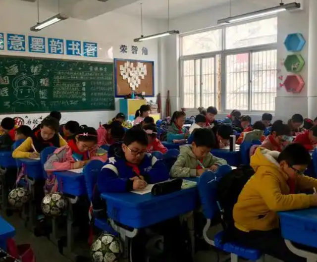 真正的对症下药不是在起点上按成果分班而是在多元的班级生态中