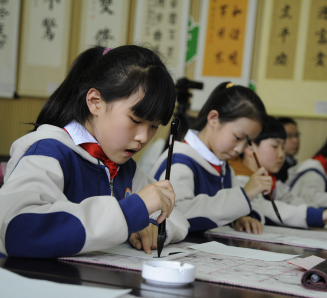 生态学习体验空间开发菜园实景科普资源线上虚拟栽培体验 生态学习体验空间开发菜园实景科普资源线上虚拟栽培体验
