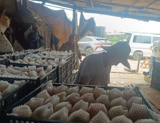 村庄教育公益小讲堂环绕身体健康教育传统文明科普普法